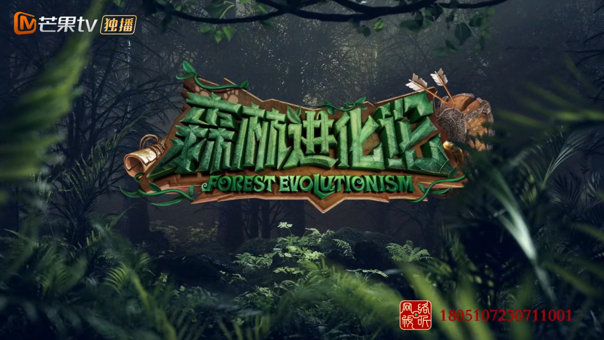 综艺封面