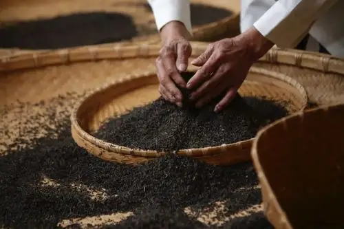 中国传统制茶技艺