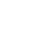 Team Vitality